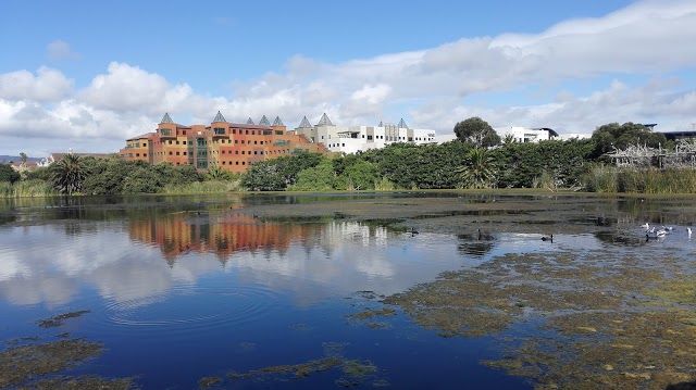 Ostoja ptaków Intaka Island